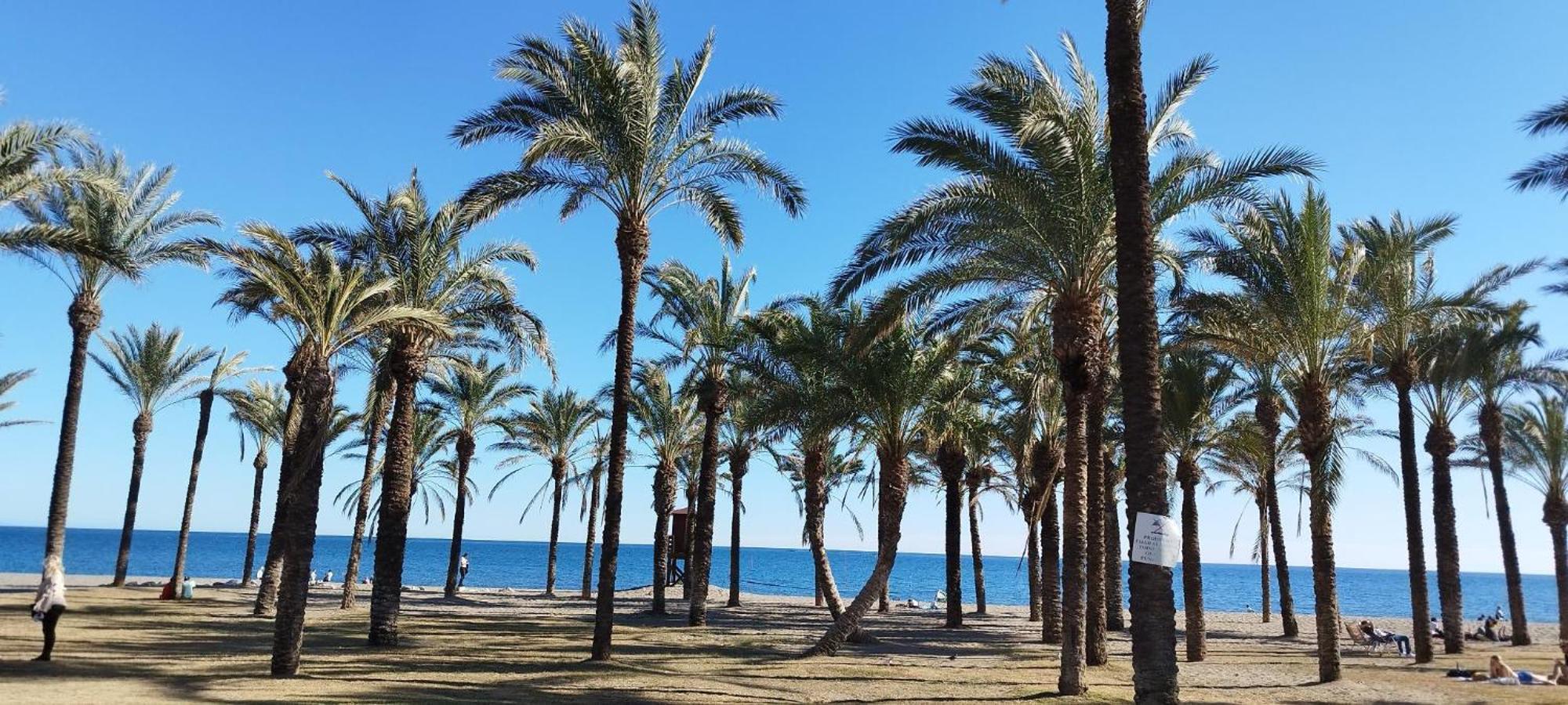 Torremolinos:Appartement avec piscine et terrasse Esterno foto