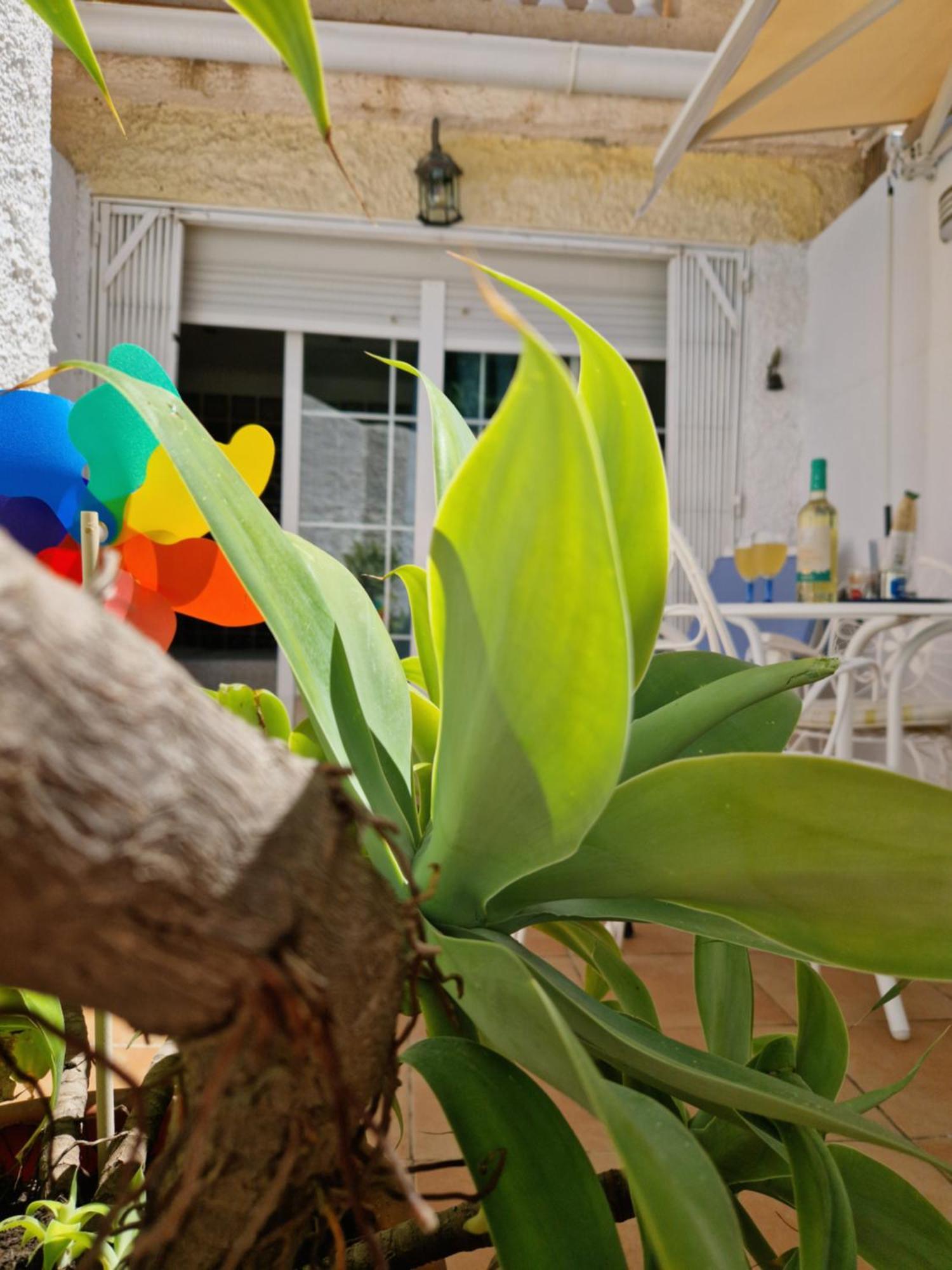 Torremolinos:Appartement avec piscine et terrasse Esterno foto